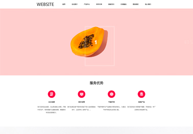 高端品牌网站建设