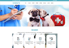 网站定制网页模板