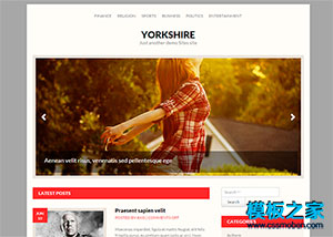 沧州网站建设价格