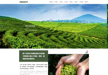 南阳网站建设
