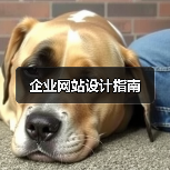 企业网站设计指南(图1) 企业网站设计指南(图1)
