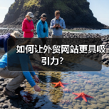 如何让外贸网站更具吸引力?(图1) 如何让外贸网站更具吸引力?(图1)