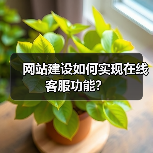网站建设如何实现在线客服功能?(图2) 网站建设如何实现在线客服功能?(图2)