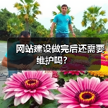 网站建设做完后还需要维护吗?(图1) 网站建设做完后还需要维护吗?(图1)