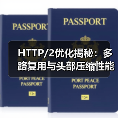 HTTP/2优化揭秘:多路复用与头部压缩性能提升技巧(图2) HTTP/2优化揭秘:多路复用与头部压缩性能提升技巧(图2)