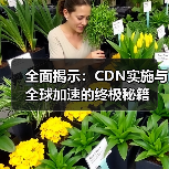 全面揭示:CDN实施与全球加速的终极秘籍(图3) 全面揭示:CDN实施与全球加速的终极秘籍(图3)