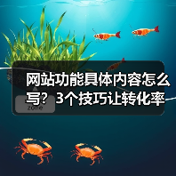网站功能具体内容怎么写？3个技巧让转化率飙升187%（图4）
