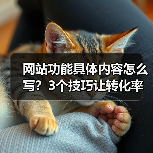 网站功能具体内容怎么写？3个技巧让转化率飙升187%（图1）