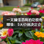 一文搞懂品牌的功能有哪些：5大价值决定企业生死（图2）
