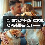 如何用结构化数据实施让网站排名飞升—— Schema标记与富媒体的秘密武器(图3) 如何用结构化数据实施让网站排名飞升—— Schema标记与富媒体的秘密武器(图3)