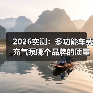 2026实测：多功能车载充气泵哪个品牌的质量好？看完少花冤枉钱（图2）