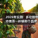 2026年实测:多功能电炒煮蒸一体锅哪个品牌好?看完少走3年弯路(图4) 2026年实测:多功能电炒煮蒸一体锅哪个品牌好?看完少走3年弯路(图4)