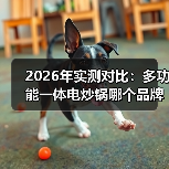 2026年实测对比：多功能一体电炒锅哪个品牌最实用？看完少花冤枉钱（图1）