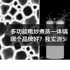 多功能电炒煮蒸一体锅哪个品牌好？我实测5款后告诉你真相（图2）