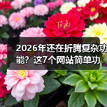 2026年还在折腾复杂功能？这7个网站简单功能让转化率提升3倍（图2）