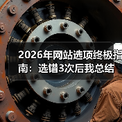2026年网站选项终极指南：选错3次后我总结的8条血泪经验（图2）