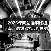 2026年网站选项终极指南：选错3次后我总结的8条血泪经验（图4）