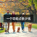 一个功能点多少钱（图3）