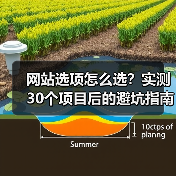 网站选项怎么选？实测30个项目后的避坑指南（图3）