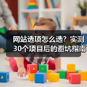 网站选项怎么选？实测30个项目后的避坑指南（图2）