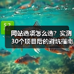 网站选项怎么选？实测30个项目后的避坑指南（图1）
