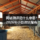 网站测评是什么意思?2026年小白避坑指南,看完少花3万冤枉钱(图4) 网站测评是什么意思?2026年小白避坑指南,看完少花3万冤枉钱(图4)