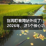 别再盯着网站外观了！2026年，这5个核心功能决定你90%的转化率（图3）
