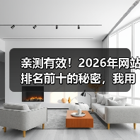 亲测有效!2026年网站排名前十的秘密,我用这5招3个月杀进首页(图3) 亲测有效!2026年网站排名前十的秘密,我用这5招3个月杀进首页(图3)