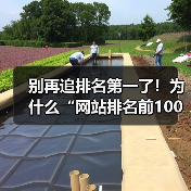 别再追排名第一了！为什么“网站排名前100”才是你2026年该死磕的目标？（图4）