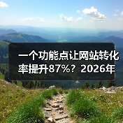 一个功能点让网站转化率提升87%?2026年网站功能点避坑指南(图2) 一个功能点让网站转化率提升87%?2026年网站功能点避坑指南(图2)