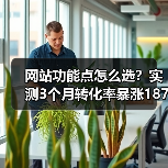 网站功能点怎么选？实测3个月转化率暴涨187%（图4）