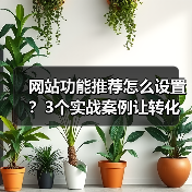 网站功能推荐怎么设置？3个实战案例让转化率飙升178%（图4）