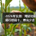 2026年实测:网站功能排行榜前十,看完少走3年弯路(图1) 2026年实测:网站功能排行榜前十,看完少走3年弯路(图1)