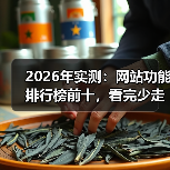 2026年实测:网站功能排行榜前十,看完少走3年弯路(图4) 2026年实测:网站功能排行榜前十,看完少走3年弯路(图4)