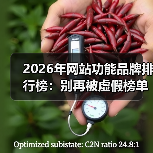 2026年网站功能品牌排行榜:别再被虚假榜单忽悠了!这5个硬指标才是关键(图3) 2026年网站功能品牌排行榜:别再被虚假榜单忽悠了!这5个硬指标才是关键(图3)
