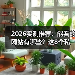 2026实测推荐:能看的网站有哪些?这8个私藏资源让同事追着我要链接(图1) 2026实测推荐:能看的网站有哪些?这8个私藏资源让同事追着我要链接(图1)