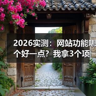 2026实测：网站功能哪个好一点？我拿3个项目换来的答案（图3）