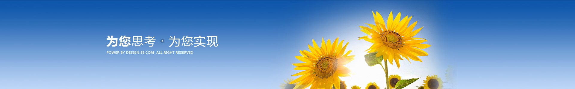 德孚通网络有限公司